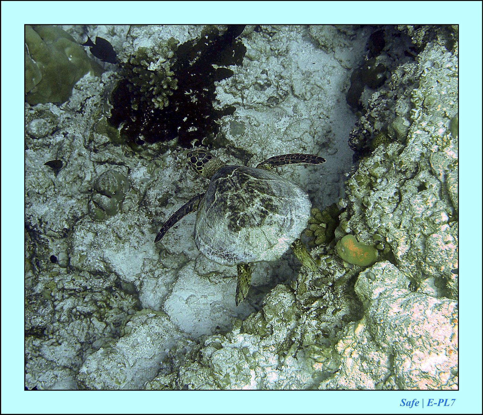 2023 - 07 - Sandies Bathala - 227